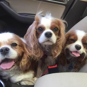 Meet your Posher, Marti